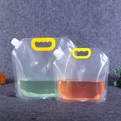 Transparent Storage Bag