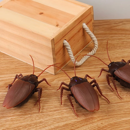 Remote Control Cockroach