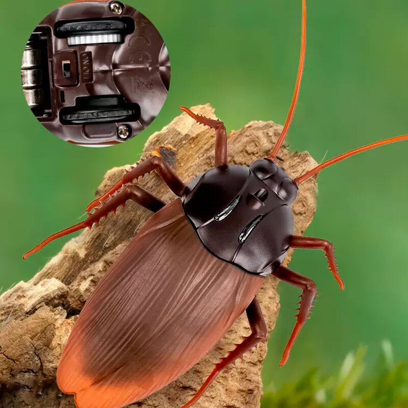 Remote Control Cockroach