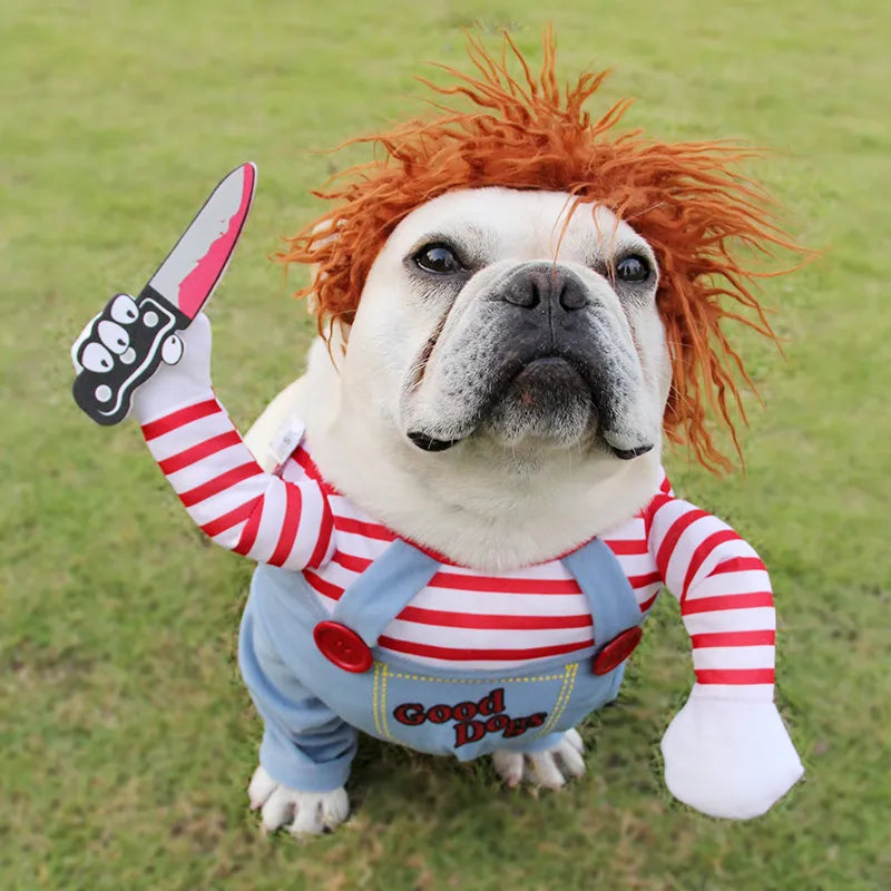 SpookyBoo - Deadly Doll Dog Costume