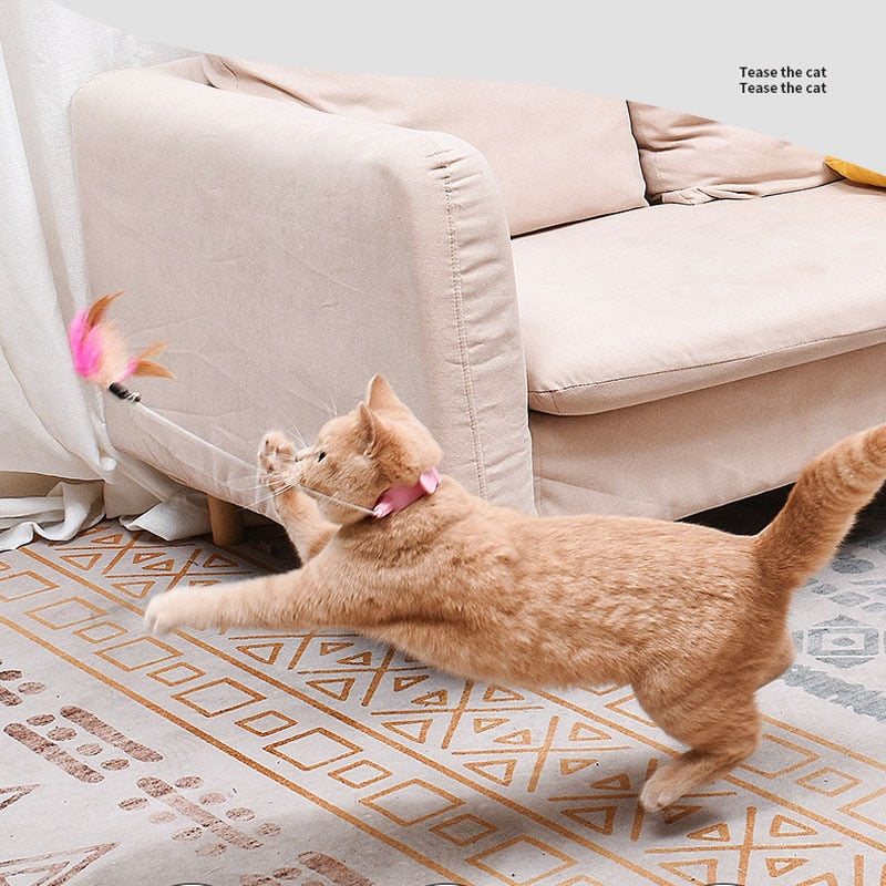 Interactive Cat Toy