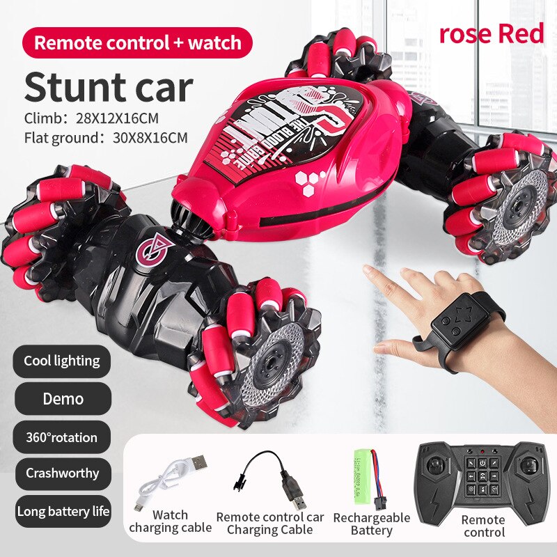 Stunt RC Car